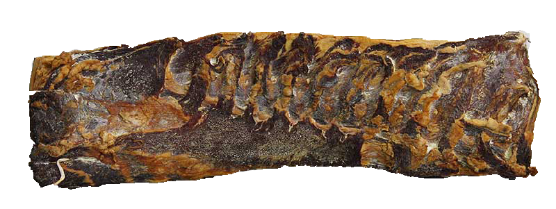 artikal